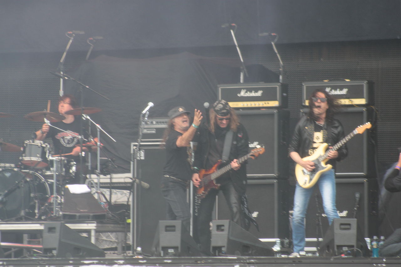 krokus